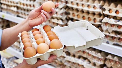 egg china ppc company|Chinese Eggs Hit Pakistani Markets.